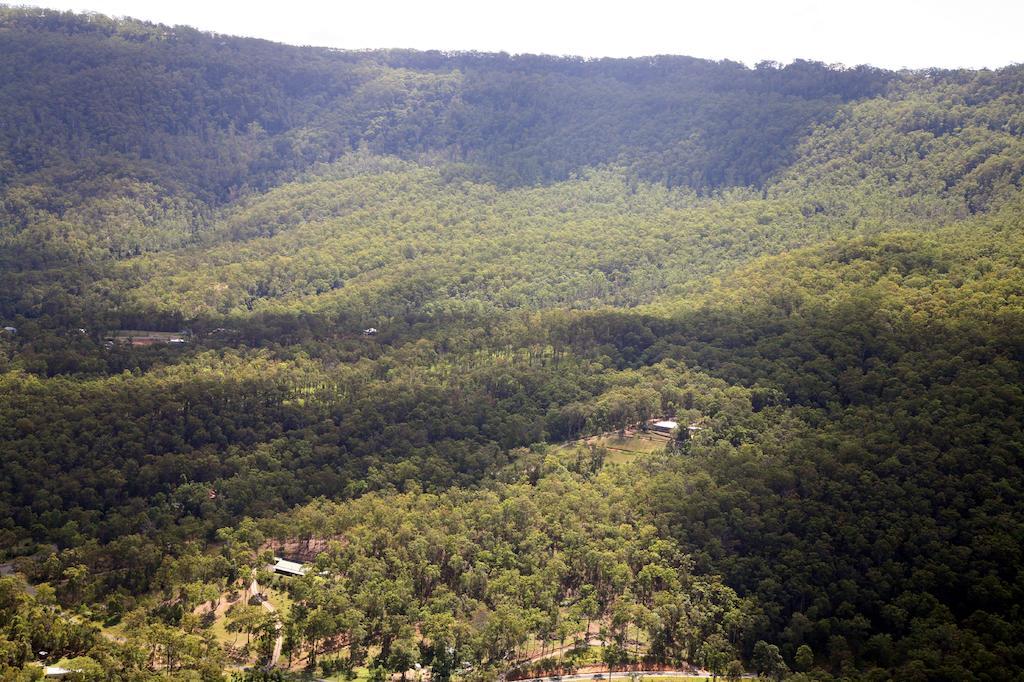 Wallaby Ridge Retreat Mount Tamborine Exterior photo