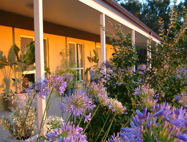 Wallaby Ridge Retreat Mount Tamborine Exterior photo