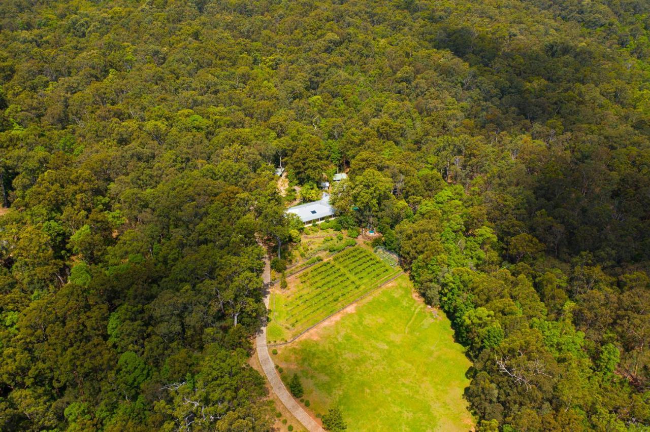 Wallaby Ridge Retreat Mount Tamborine Exterior photo