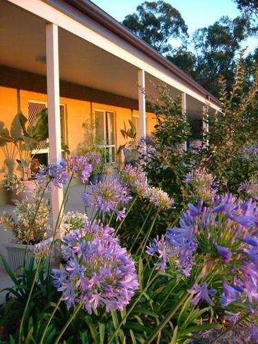 Wallaby Ridge Retreat Mount Tamborine Exterior photo